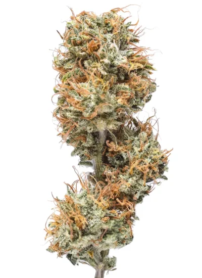 cannatonic-3-flower-thca-35g-thca-flow-gardens-871328